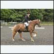 durdress26_0944