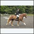 durdress26_0945