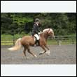 durdress26_0946