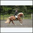durdress26_0947