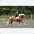 durdress26_0948