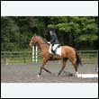 durdress26_0950