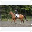 durdress26_0952
