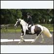 durdress26_0954