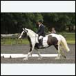 durdress26_0956