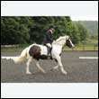 durdress26_0957