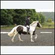 durdress26_0958