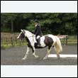 durdress26_0960