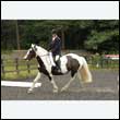 durdress26_0962