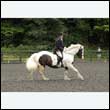 durdress26_0964