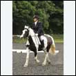 durdress26_0967