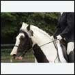 durdress26_0968