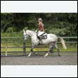 durdress26_0971