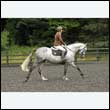 durdress26_0977