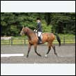 durdress26_0979