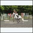 durdress26_0981