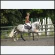 durdress26_0984