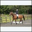 durdress26_0986