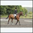 durdress26_0991