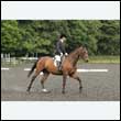 durdress26_0995