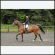durdress26_0996