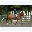 durdress26_0997