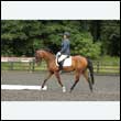 durdress26_1004