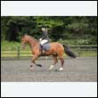 durdress26_1005