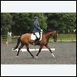 durdress26_1008