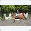 durdress26_1010