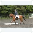 durdress26_1020