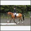 durdress26_1024