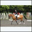 durdress26_1028