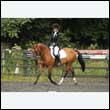 durdress26_1031