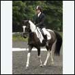 durdress26_1033