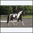 durdress26_1037