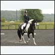 durdress26_1040