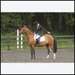 durdress26_1044