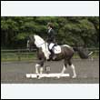 durdress26_1046