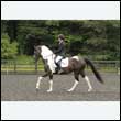 durdress26_1049