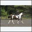 durdress26_1053