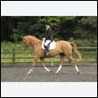 durdress26_1061