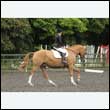 durdress26_1067