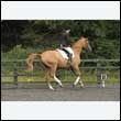 durdress26_1074