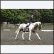 durdress26_1081