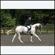 durdress26_1083