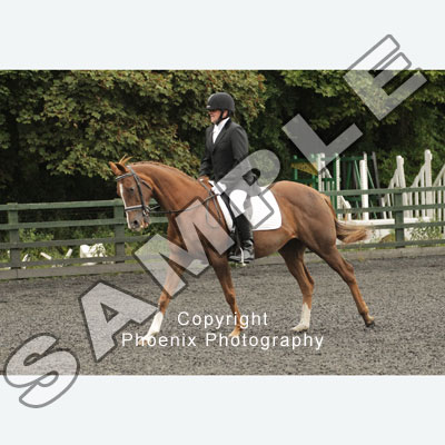 Click here to view all the photos from this event