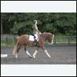 durdress27_0008