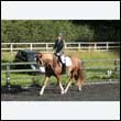 durdress27_0009