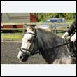 durdress27_0013